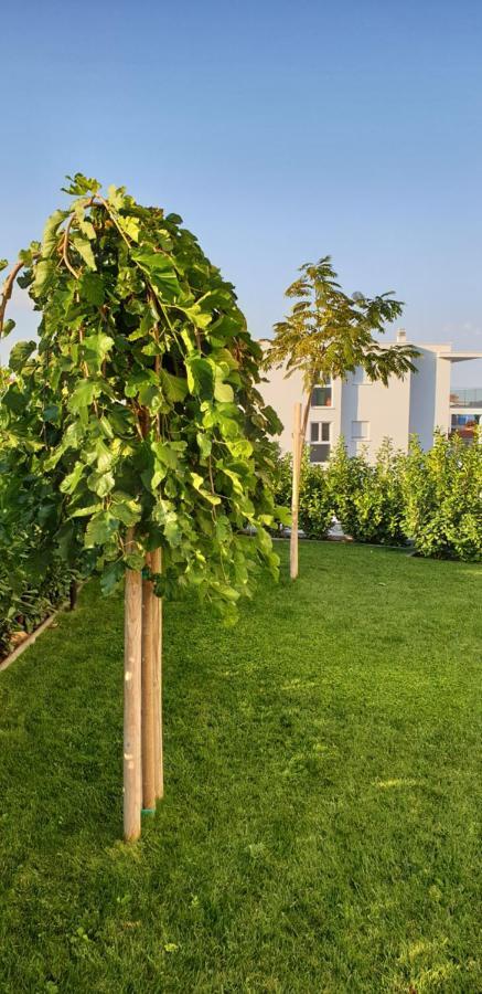 Sea View Apartments Žaborić Zewnętrze zdjęcie
